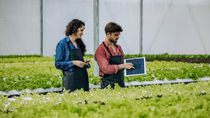 Two people in a field looking at a solar panel