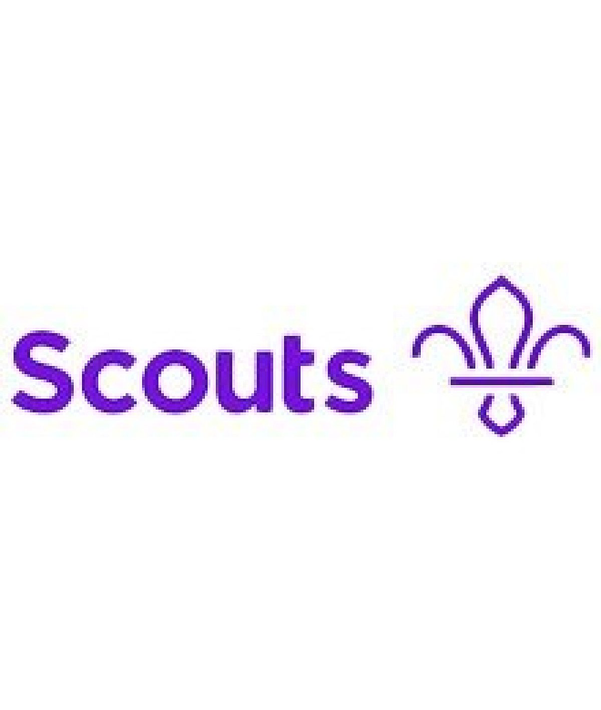 Scouts logo